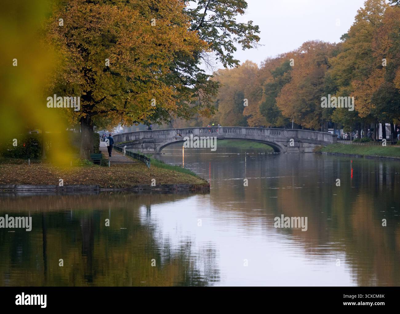 München, Deutschland. Oktober 2025. Am Nymphenburger Kanal stehen herbstliche Bäume. Quelle: Sven Hoppe/dpa/Alamy Live News Stockfoto