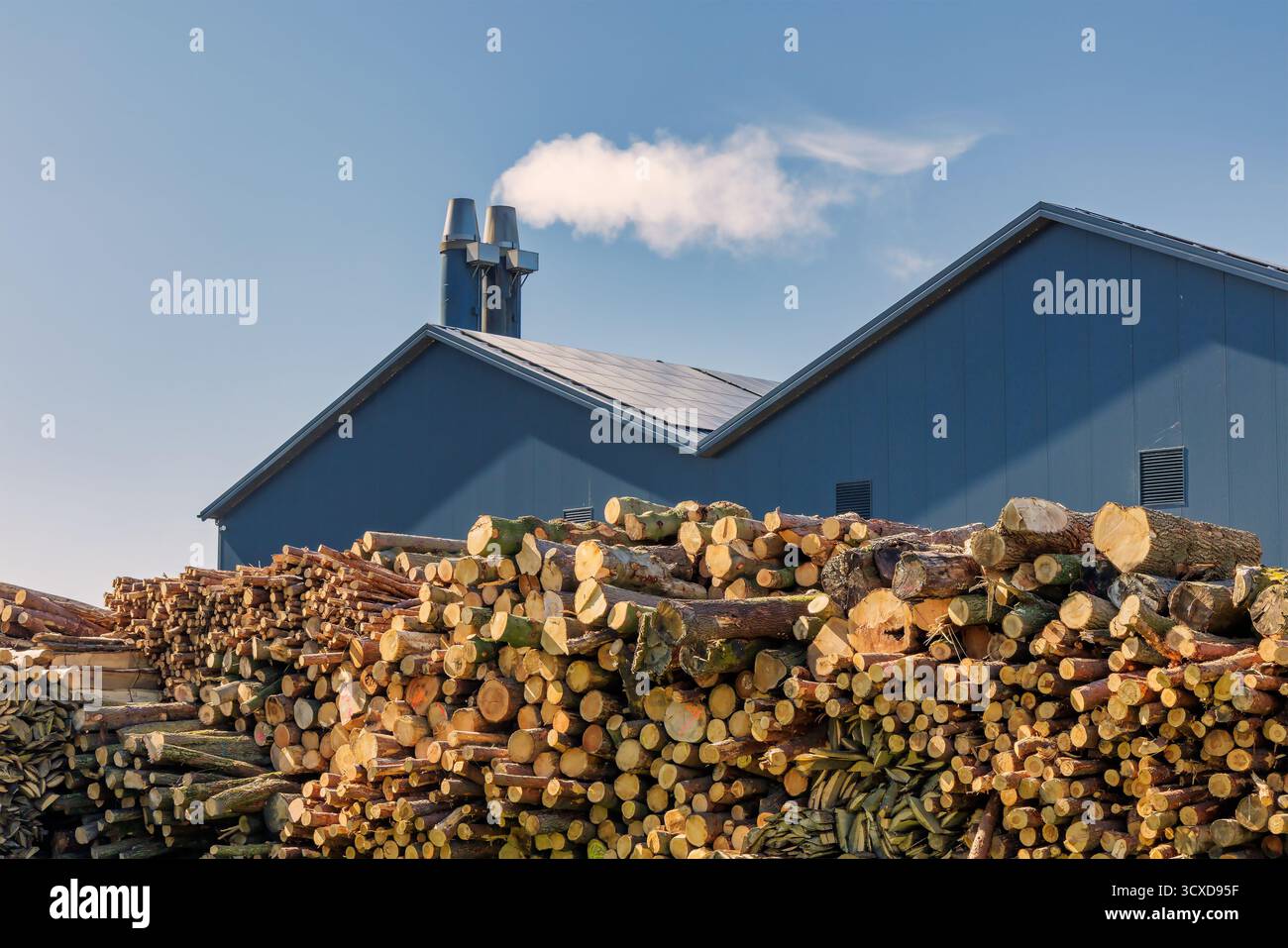 Niederländische Fabrik für die Herstellung von Holzschnitzeln für Biokraftstoffe aus Waldholz Stockfoto