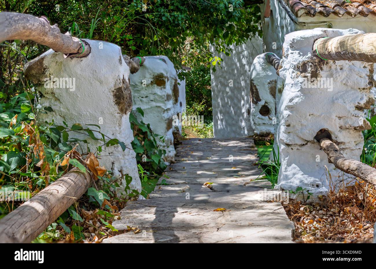Rustikaler Steinweg, der durch einen grünen Garten führt, mit weiß getünchten Steinmauern und natürlichen Holzgeländern an einem sonnigen Tag Stockfoto