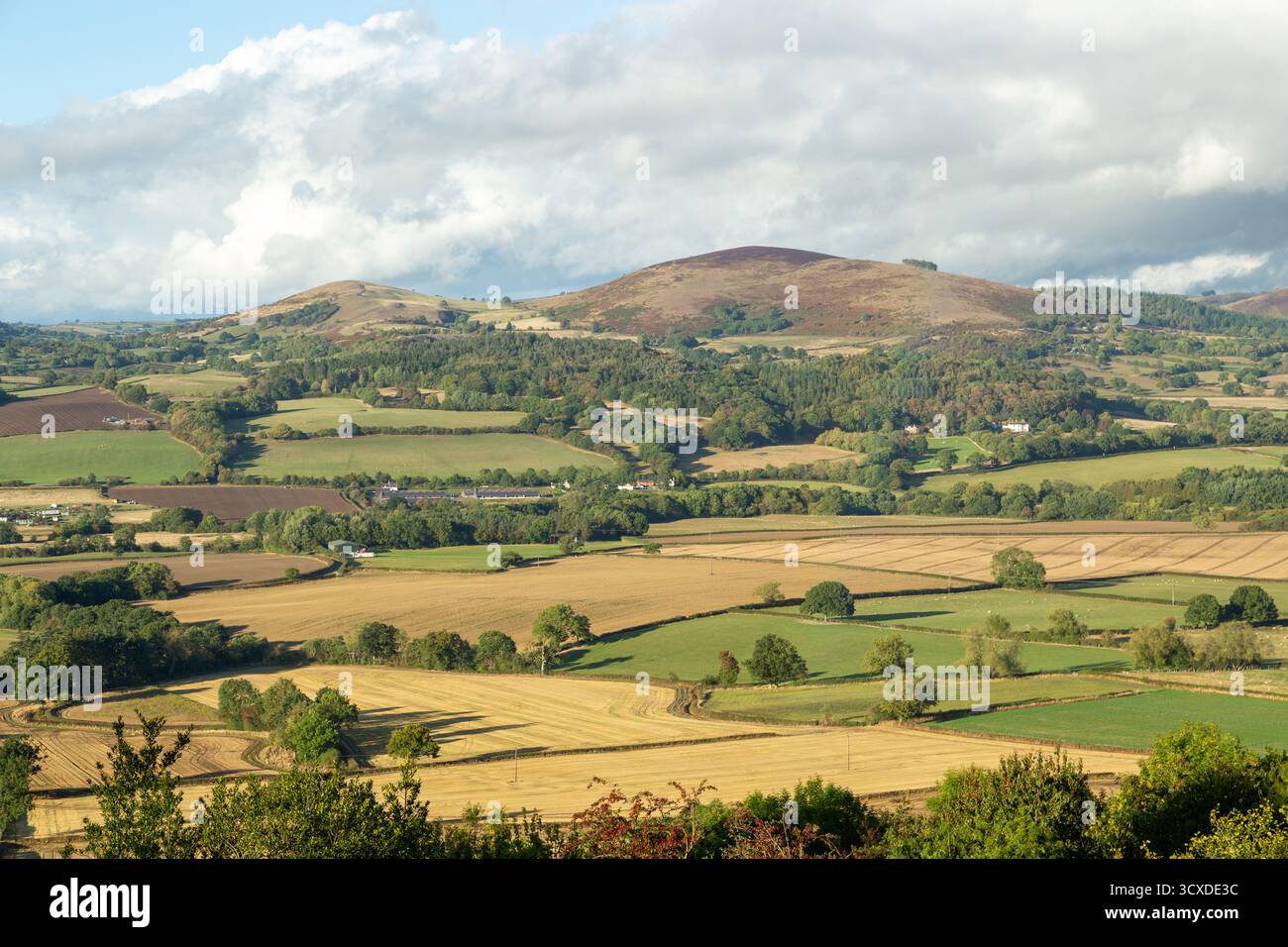 Heath Mynd ist ein Hügel in der englischen Grafschaft Shropshire Stockfoto