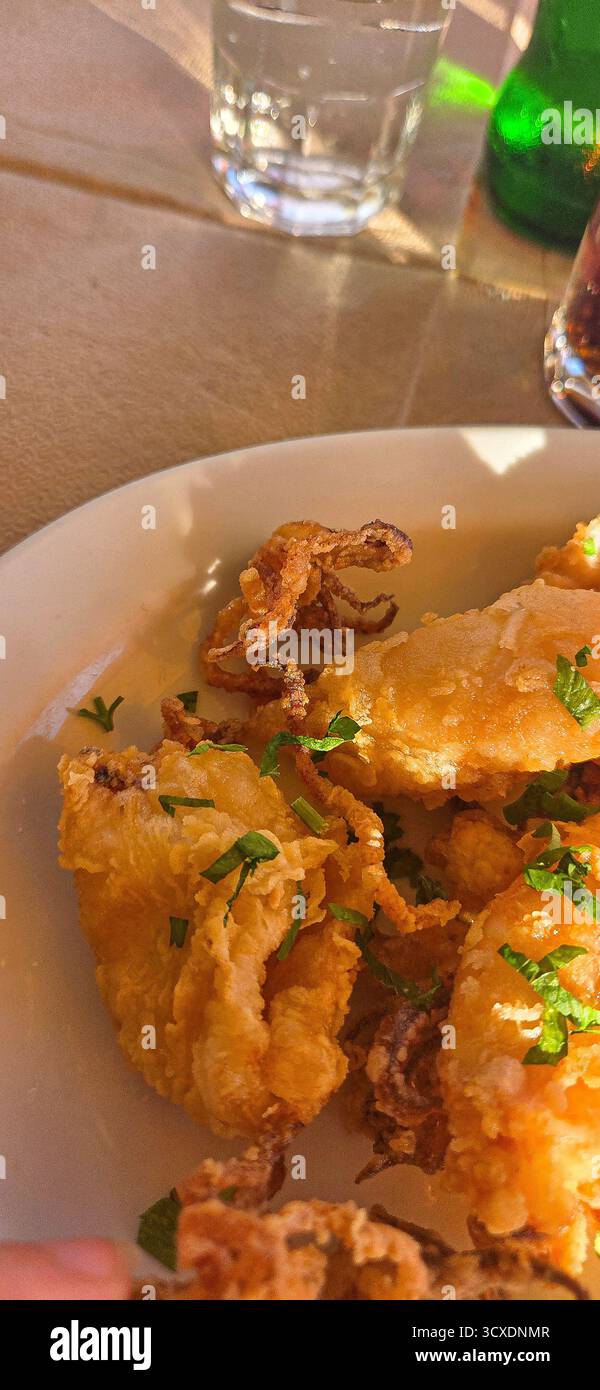 Nahaufnahme von gebratenen Calamari garniert mit Petersilie auf einem weißen Teller. Stockfoto