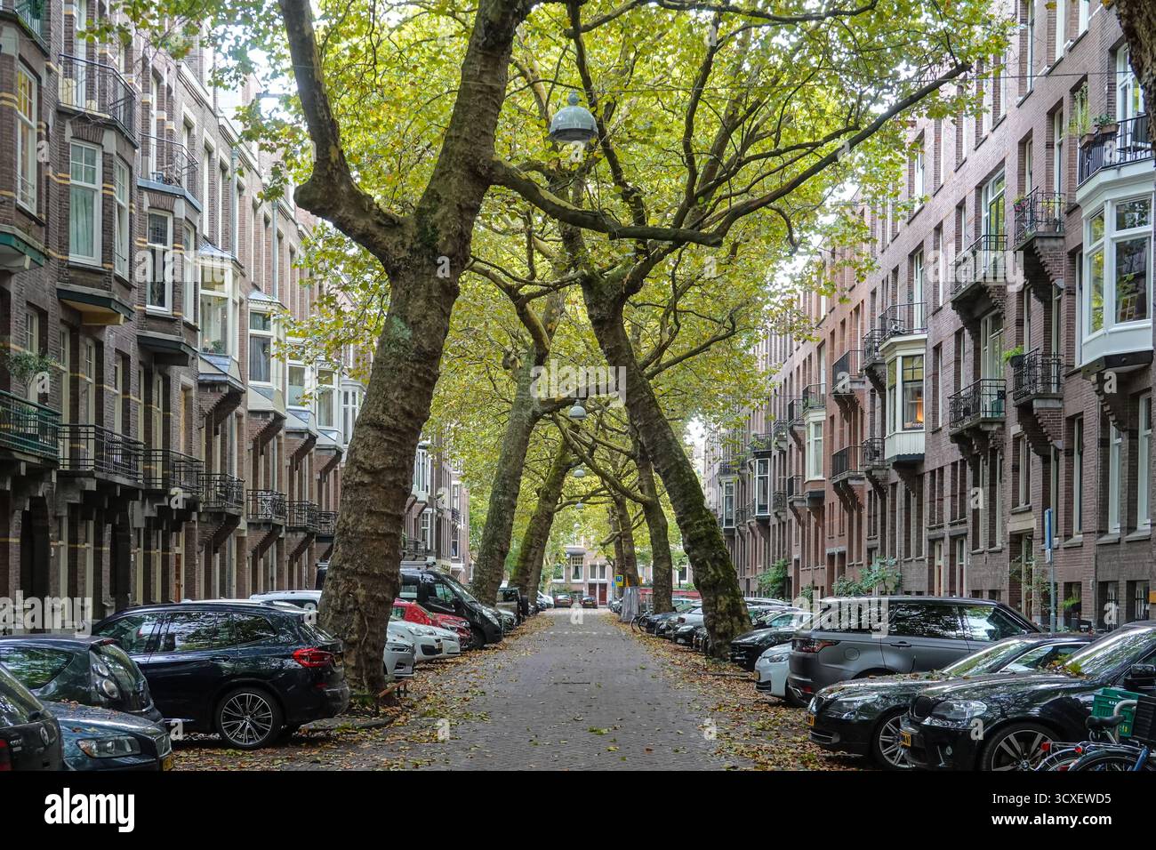Amsterdam, Lomanstraat, Allee // Amsterdam, Lomanstraat, Avenue Stockfoto Amsterdam, Lomanstraat, Allee // Amsterdam, Lomanstraat, Avenue Stockfoto