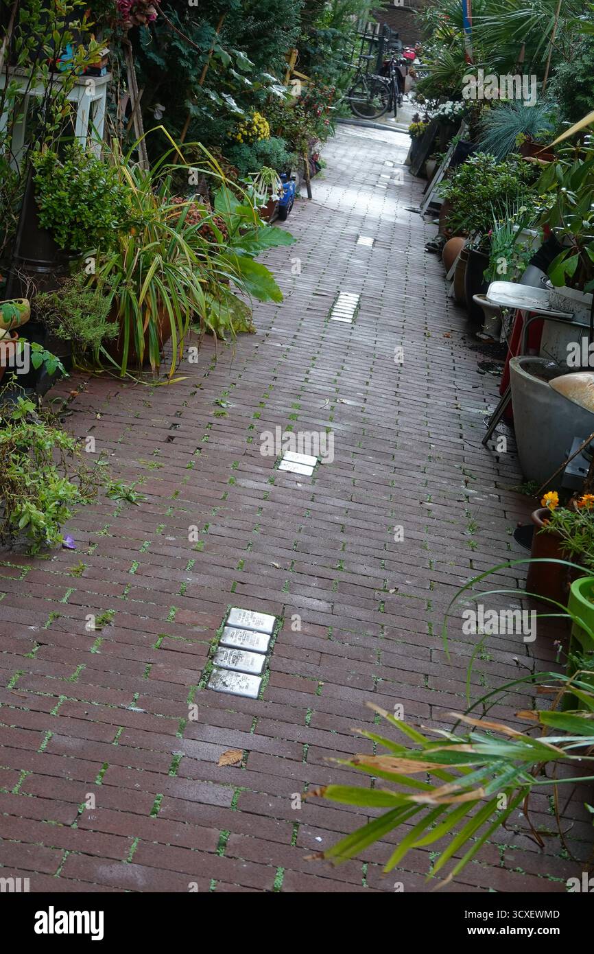 Amsterdam, Stolpersteine // Amsterdam, Stolpersteine, Gedenktafel Stockfoto Amsterdam, Stolpersteine // Amsterdam, Stolpersteine, Gedenktafel Stockfoto