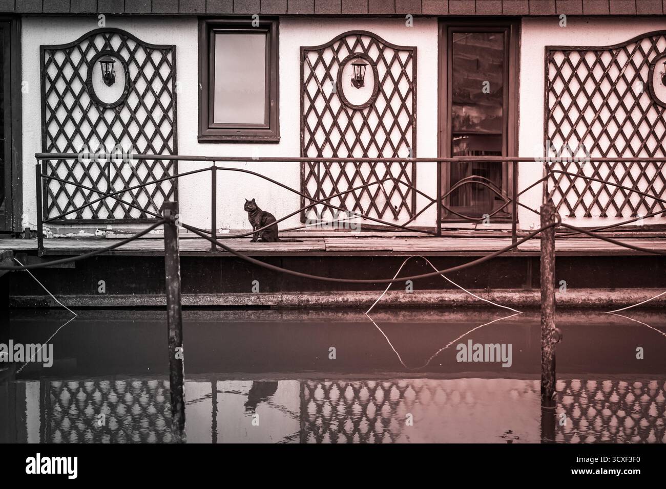 Eine schwarze Katze, die auf dem Dock sitzt. Stockfoto