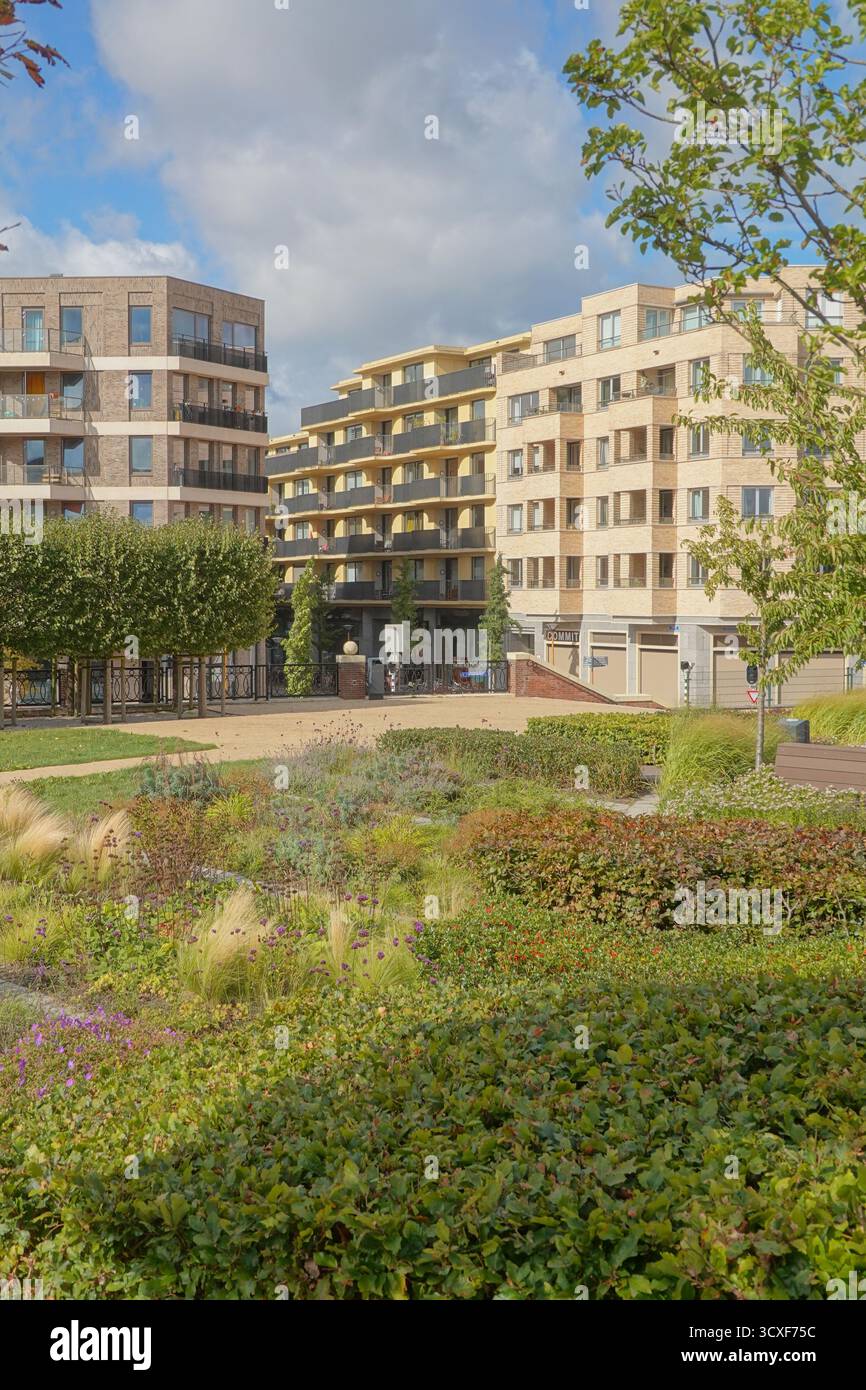 Utrecht, Stadtentwicklungsgebiet Leidsche Rijn, Stadtpark Stadstuin // Utrecht, Stadtentwicklung Leidsche Rijn, Stadstuinpark Stockfoto Utrecht, Stadtentwicklungsgebiet Leidsche Rijn, Stadtpark Stadstuin // Utrecht, Stadtentwicklung Leidsche Rijn, Stadstuinpark Stockfoto