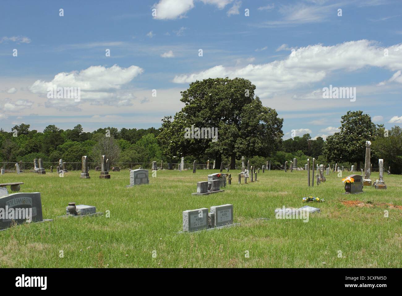 Omen TX - 8. Mai 2025: Historischer Elkins Cemetery in Omen Texas Stockfoto