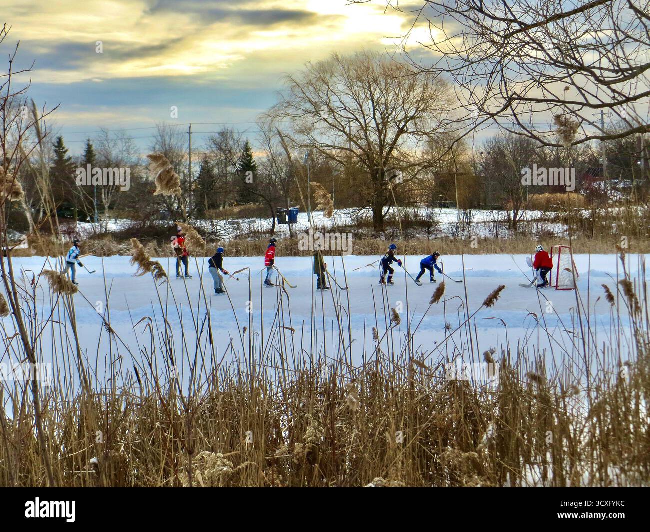 Eine Gruppe von Kindern, die Hockey auf einem gefrorenen Teich inmitten eines Parks spielen. Stockfoto