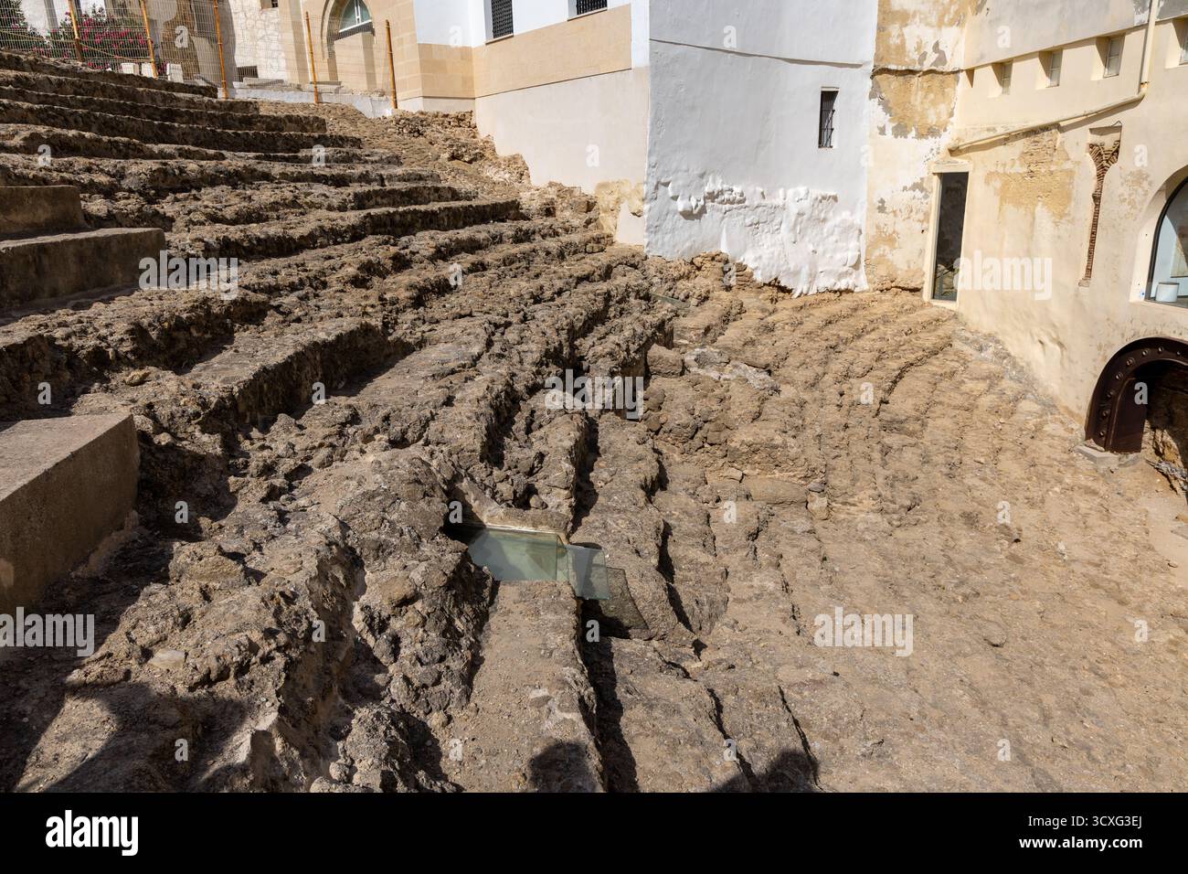 Ein altes historisches Theater inmitten einer Stadt, umgeben von Häusern. Dieses Wahrzeichen wurde tagsüber fotografiert. Teatro Romano de Cdiz, Andalusien Stockfoto