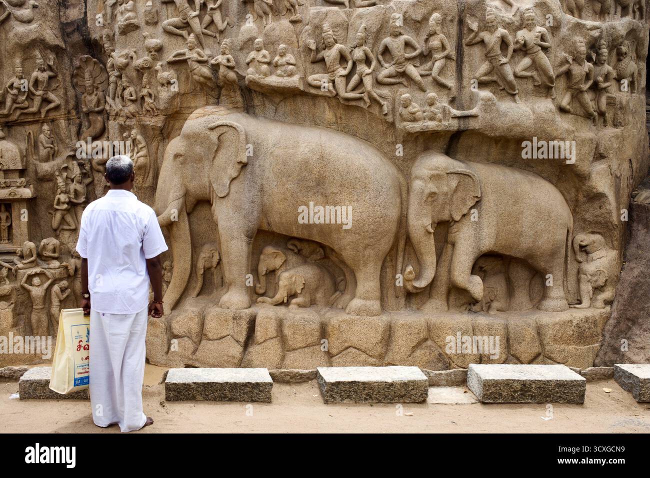 Besucher, der den „Abstieg des Ganges“ (Arjunas Buße) beobachtet, ein Felsrelief aus der Pallavastzeit aus dem 7. Jahrhundert in Mahabalipuram, Tamil Nadu, Indien. Stockfoto