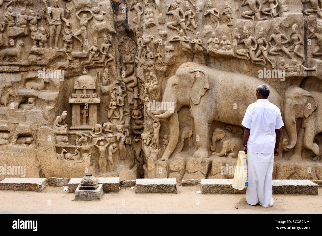 Besucher, der den „Abstieg des Ganges“ (Arjunas Buße) beobachtet, ein Felsrelief aus der Pallavastzeit aus dem 7. Jahrhundert in Mahabalipuram, Tamil Nadu, Indien. Stockfoto