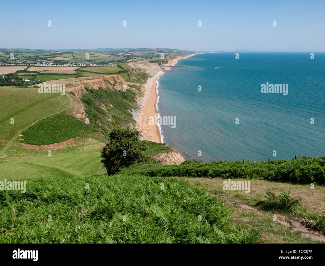 Spektakuläre Aussicht auf die Jurassic Coast von Dorset mit dramatischen Klippen und unberührtem Strand Stockfoto