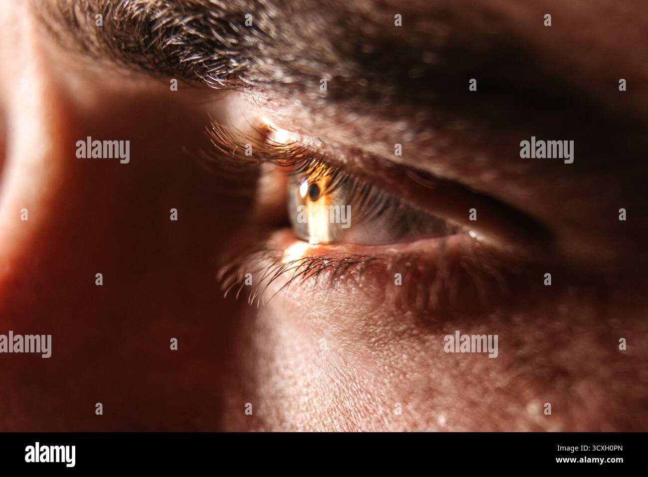 Detaillierte Nahaufnahme eines Auges unter Spaltlampenuntersuchung, die die komplizierten Strukturen und die Bedeutung regelmäßiger Sehkontrollen für das Auge HE unterstreicht Stockfoto