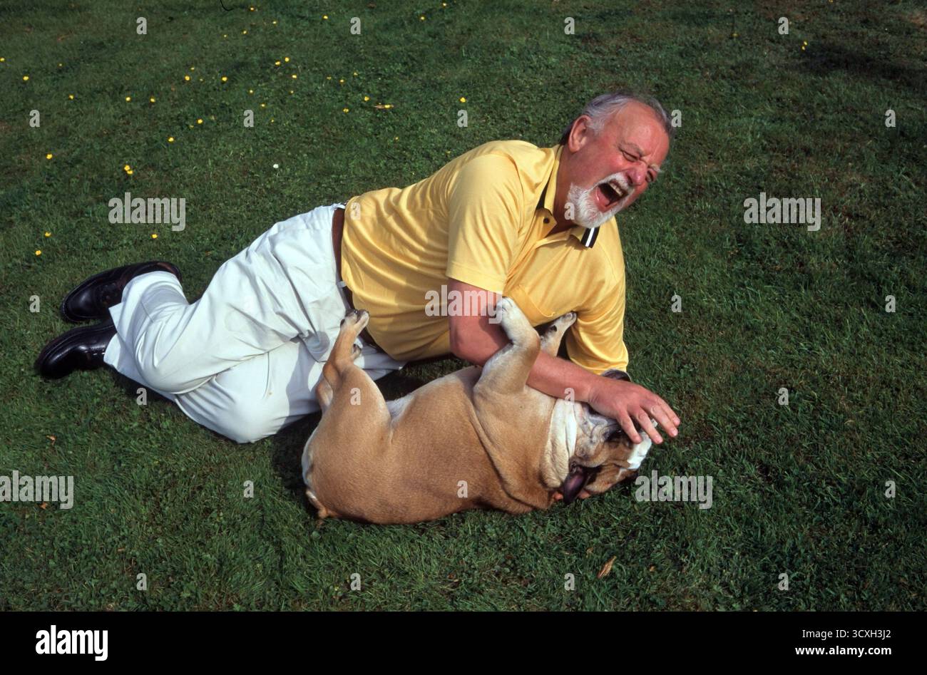 Roger Whittaker zu Hause mit Boris, seinem britischen Bulldog. Er lebte in Hom Green bei Ross auf Wye, Herefordshire. England um die 1995 1990er Jahre Großbritannien HOMER SYKES. Stockfoto