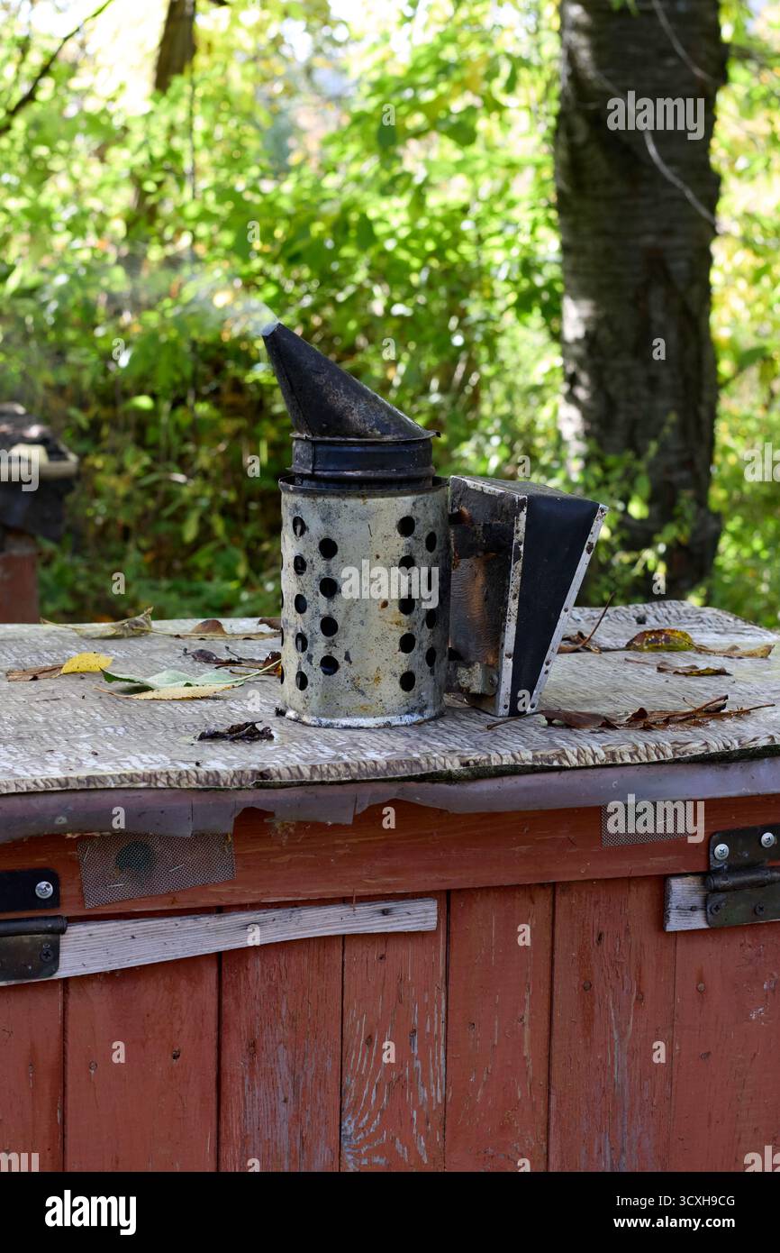Bienenraucher auf einem Bienenstock, Bienenzuchtgeräte zur Beruhigung der Bienen, stehend auf einer Holzoberfläche in einer Umgebung im Freien an einem sonnigen Tag. Stockfoto