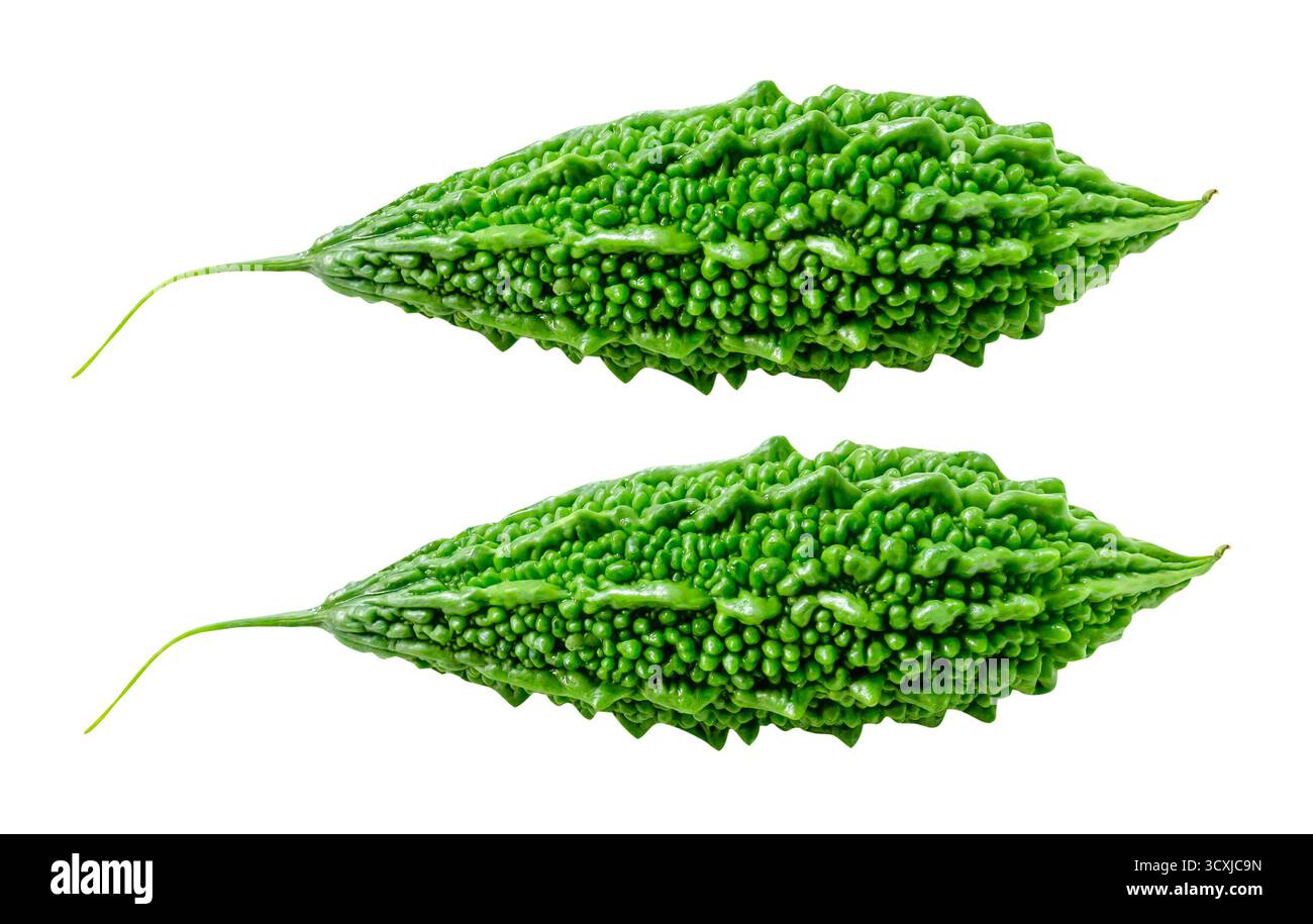 Die Draufsicht besteht aus zwei grünen BitterKürbissen oder Bittermelonen und ist auf weißem Hintergrund mit Beschneidungspfad isoliert. Stockfoto