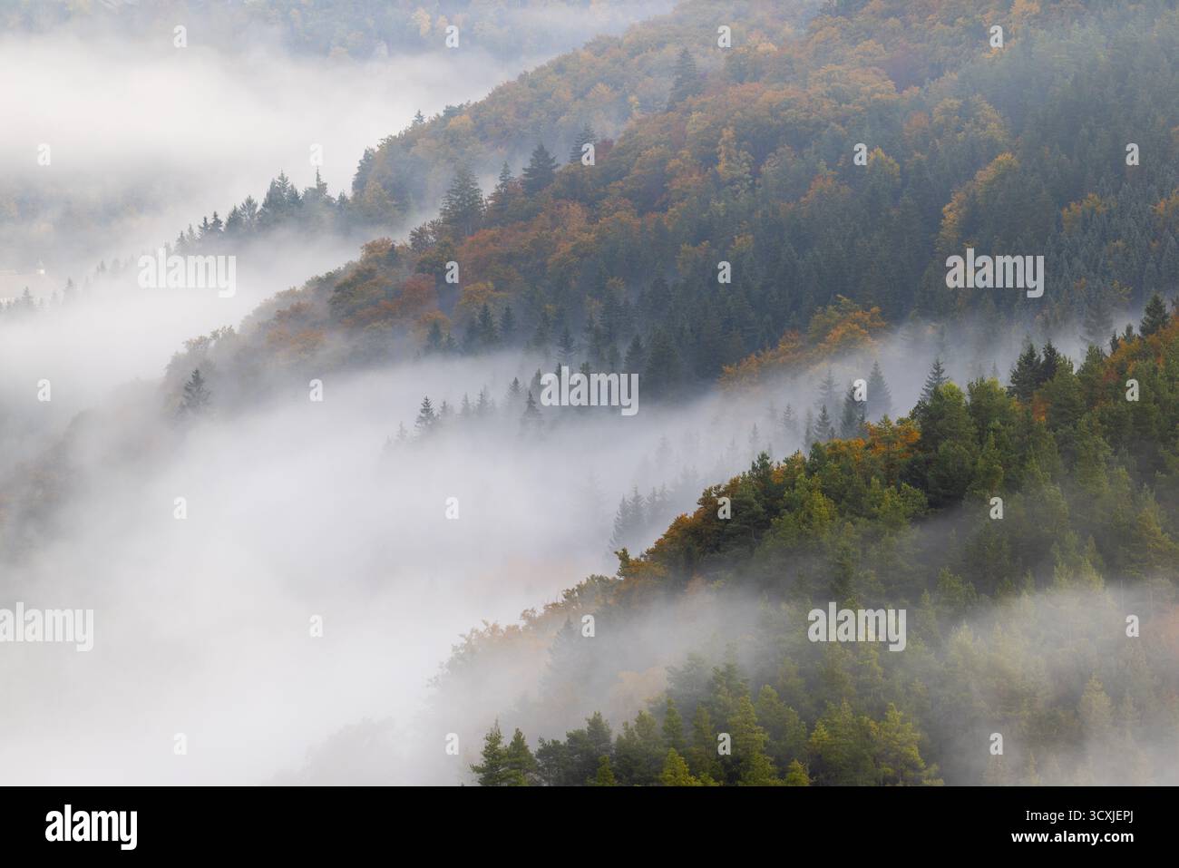 Blick vom Knopfmacherfelsen ins Donautal, Mischwald, Herbstfarben, Nebel, Herbst, Fridingen, Donautal, Naturpark obere Donau Stockfoto