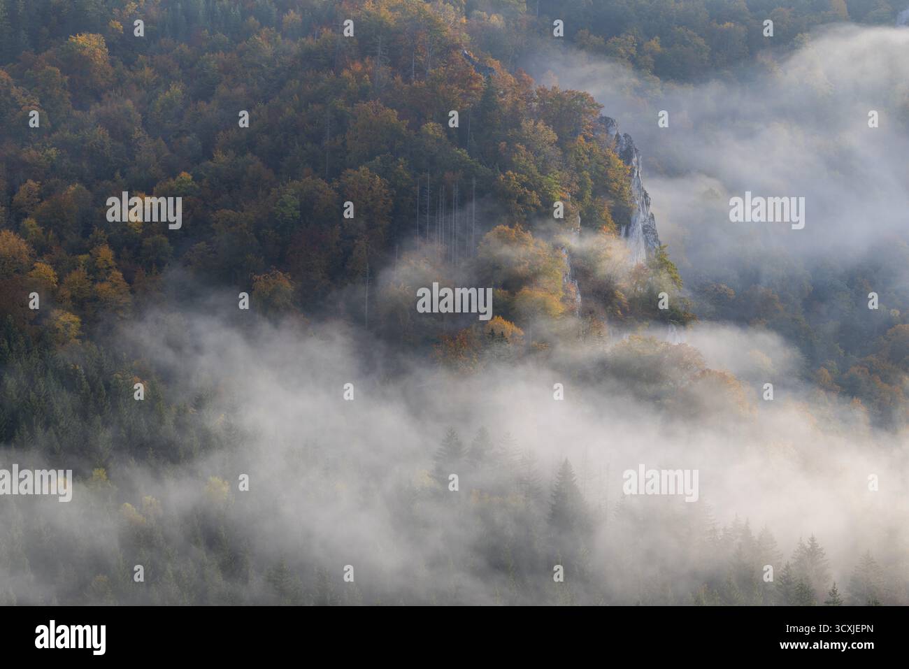 Blick vom Knopfmacherfelsen ins Donautal, Mischwald, Herbstfarben, Nebel, Herbst, Fridingen, Donautal, Naturpark obere Donau Stockfoto
