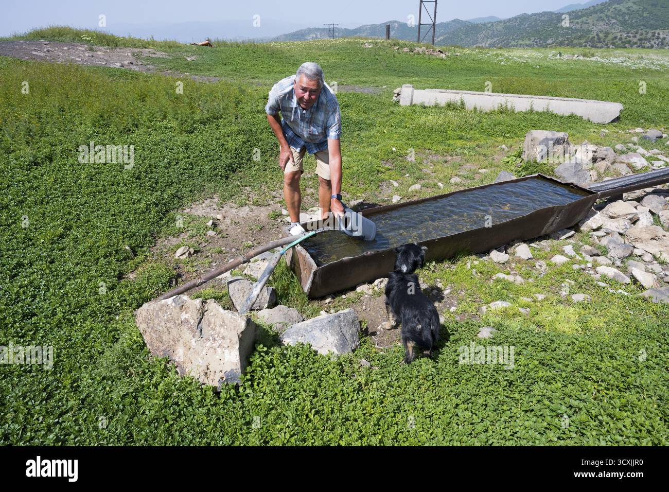 Ein Mann füllt Wasser in einen Behälter, während ein Hund daneben steht, ein Mann füllt Trinkwasser an einem Wasserpunkt in der Nähe von Jermuk, Jermuk, Vayots Dzor provi Stockfoto