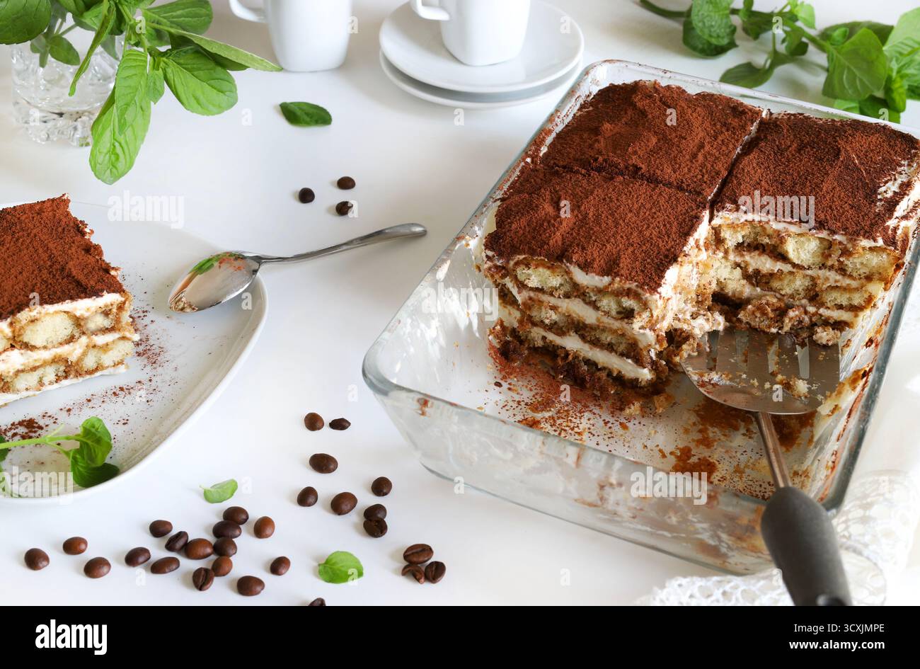 Tiramisu. Klassisches Kaffee-Tiramisu mit Marienfinger und Mascarponcreme, bestreut mit Kakaopulver auf weißem Hintergrund. Italienisches Dessert. Stockfoto