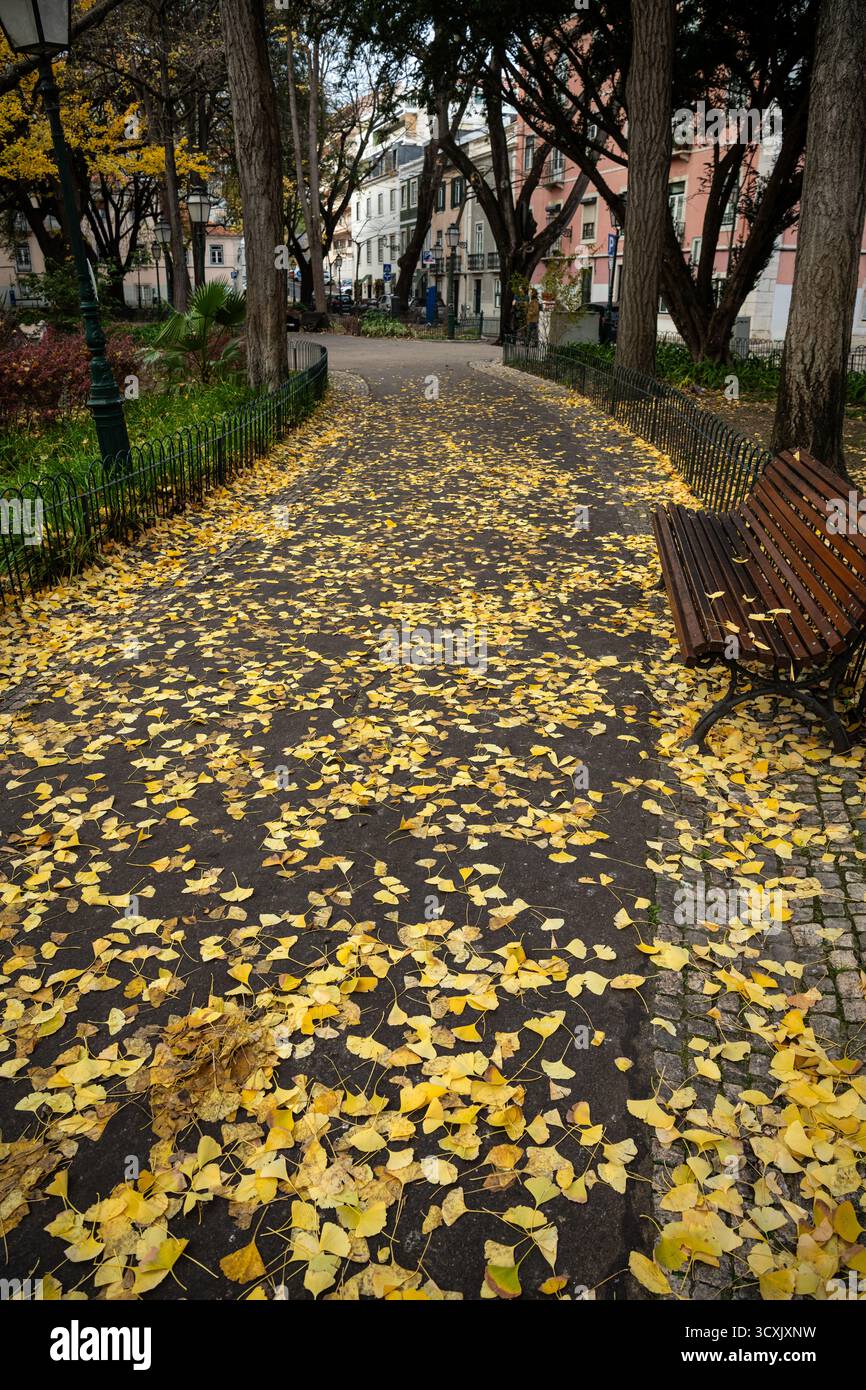 Herbstpfad in Jardim das Amoreiras, Lissabon, Portugal Stockfoto