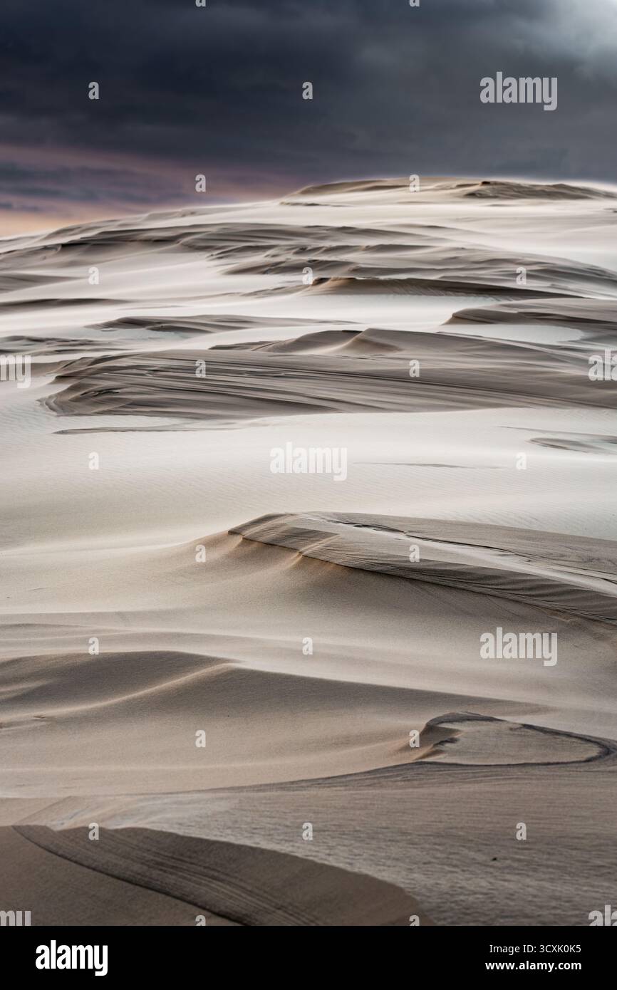 Windgeformte Sanddünen bilden abstrakte Muster in dieser Landschaft. Die glatten Konturen und gewellten Rippen erzeugen eine komplizierte Textur. Stockfoto