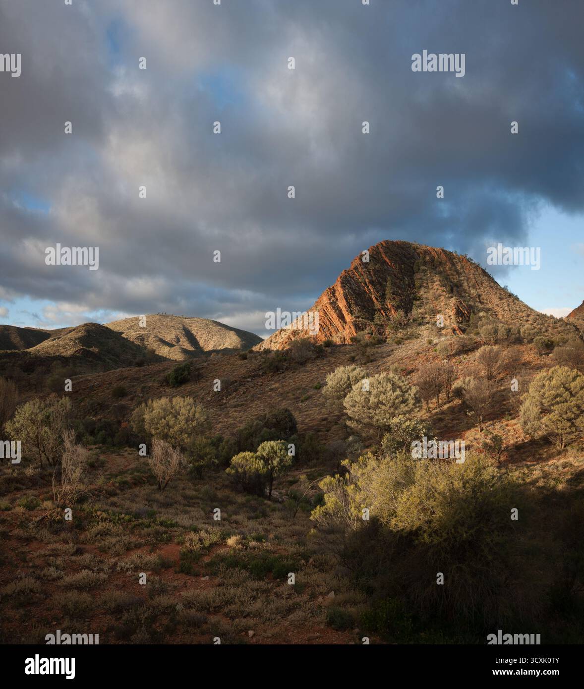 Zerklüftete Landformationen in den Northern Flinders Ranges, South Australia, weisen steile, rötlich-braune Felsvorsprünge auf, die sich in dünn bewachsenem Land befinden. Stockfoto