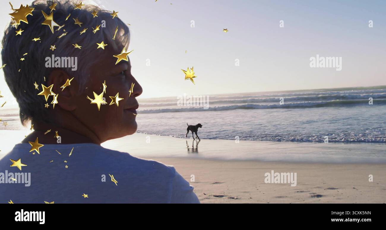 Stehende Frau mit T-Shirt zum Horizont am Strand, Hund läuft, Sternüberzug, Kopierraum Stockfoto