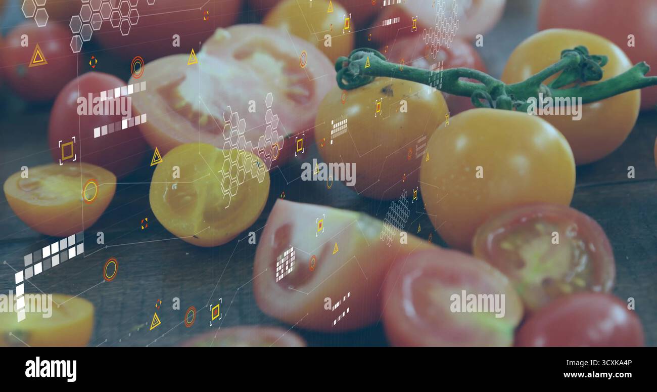 Zeigt gelbe Kirschtomaten, die auf grüner Weinrebe auf dem Labortisch hängen, mit digitaler Überlagerung Stockfoto