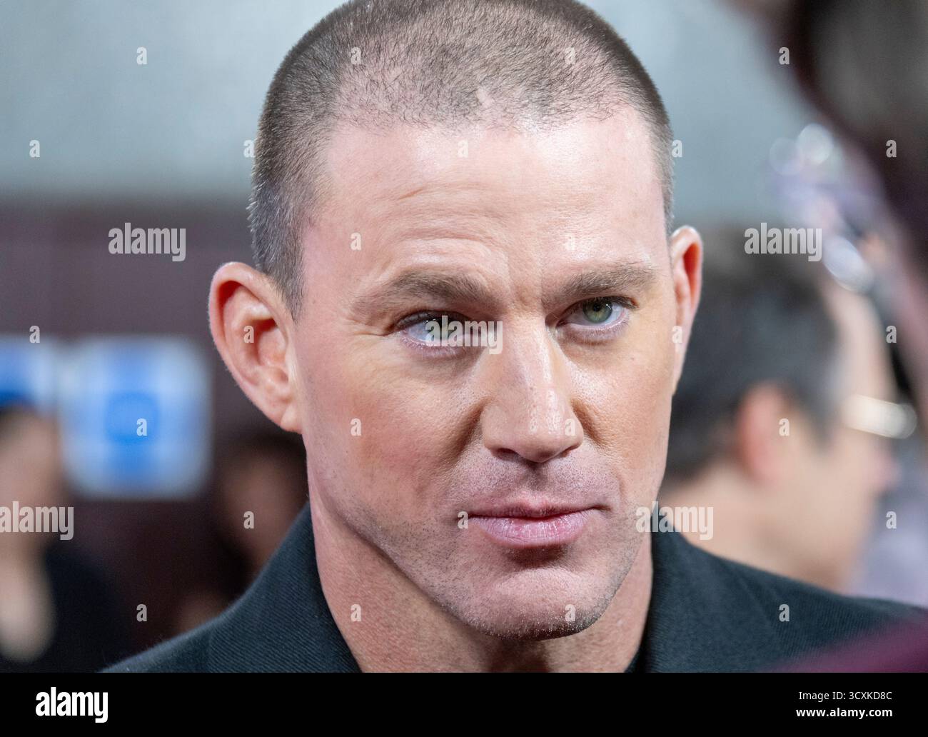 14. Oktober 2025, London, England, Großbritannien - Channing Tatum besucht die Roofman Premiere, BFI London Film Festival 2025, Royal Festival Hall Stockfoto