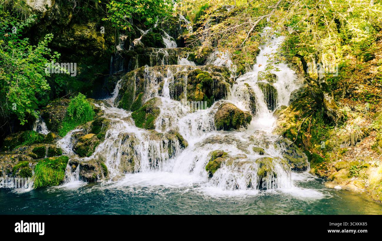 Wasserkaskaden über moosigen Steinen, umgeben von grüner Vegetation Stockfoto