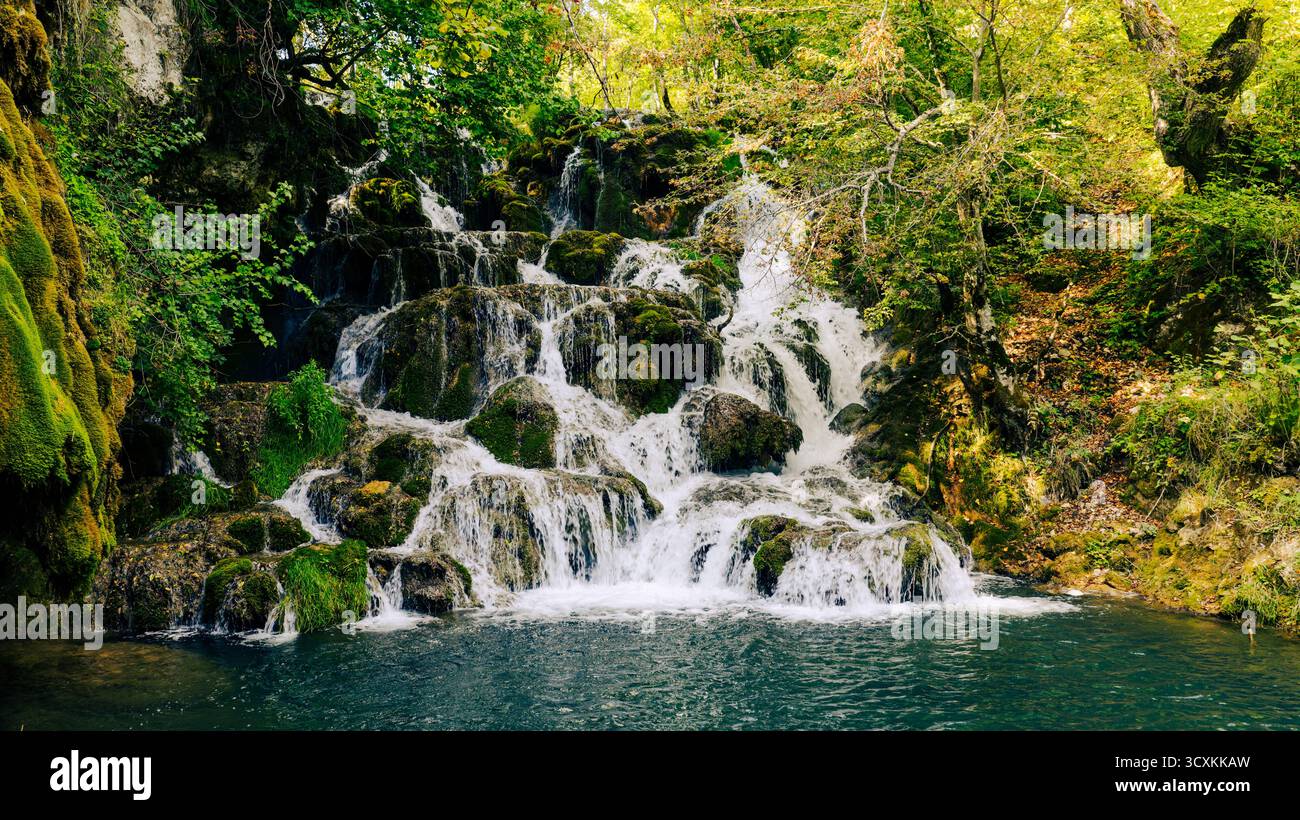 Süßwasserbach, der über moosige Felsen fällt und von üppigen Bäumen umgeben ist Stockfoto