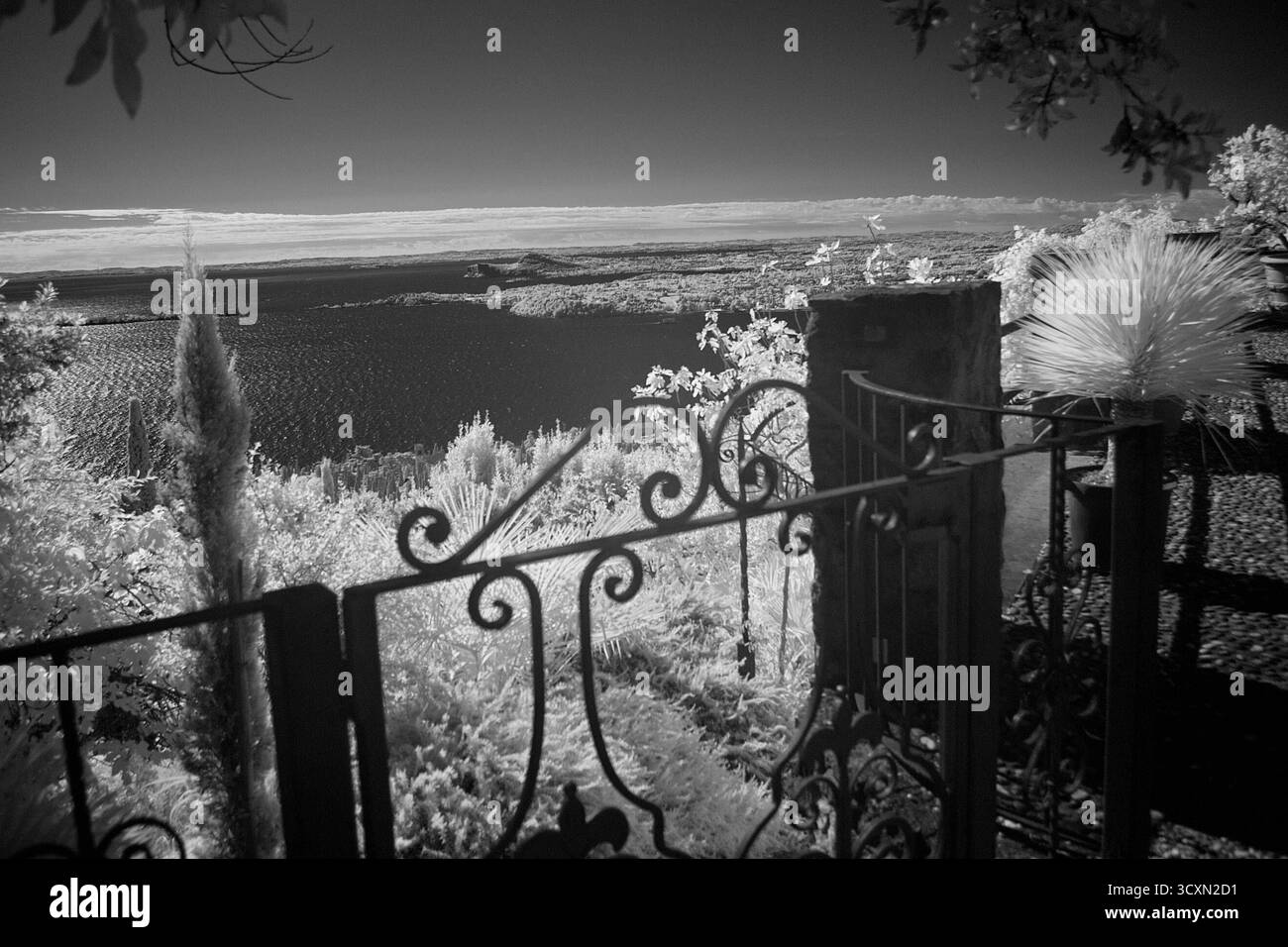 REKORDDATUM NICHT ANGEGEBEN Infrarotfoto im Garten einer Villa in den Hügeln am Gardasee am 24. September 2025 A 1668 E *** Infrarotfoto im Garten einer Villa in den Hügeln am Gardasee bei 2025 09 24 A 1668 E Stockfoto