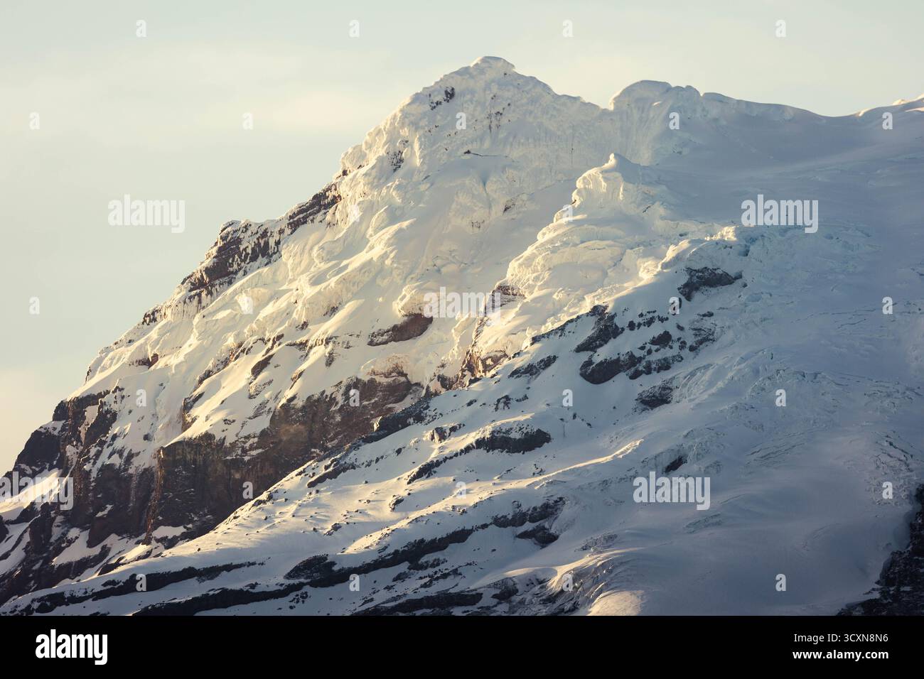 Schneebedeckte Hänge des Vulkans Antisana, beleuchtet durch Morgenlicht, ecuadorianische Anden, Südamerika. Stockfoto