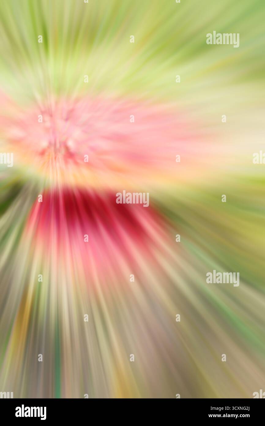 Bewegtes, verschwommenes Foto von Fliegenpilz, abstrakter Hintergrund. Stockfoto