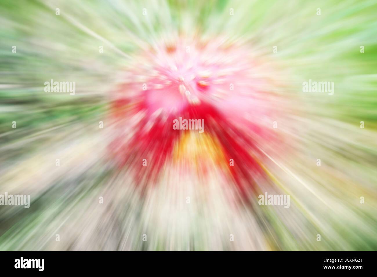 Bewegtes, verschwommenes Foto von Fliegenpilz, abstrakter Hintergrund. Stockfoto