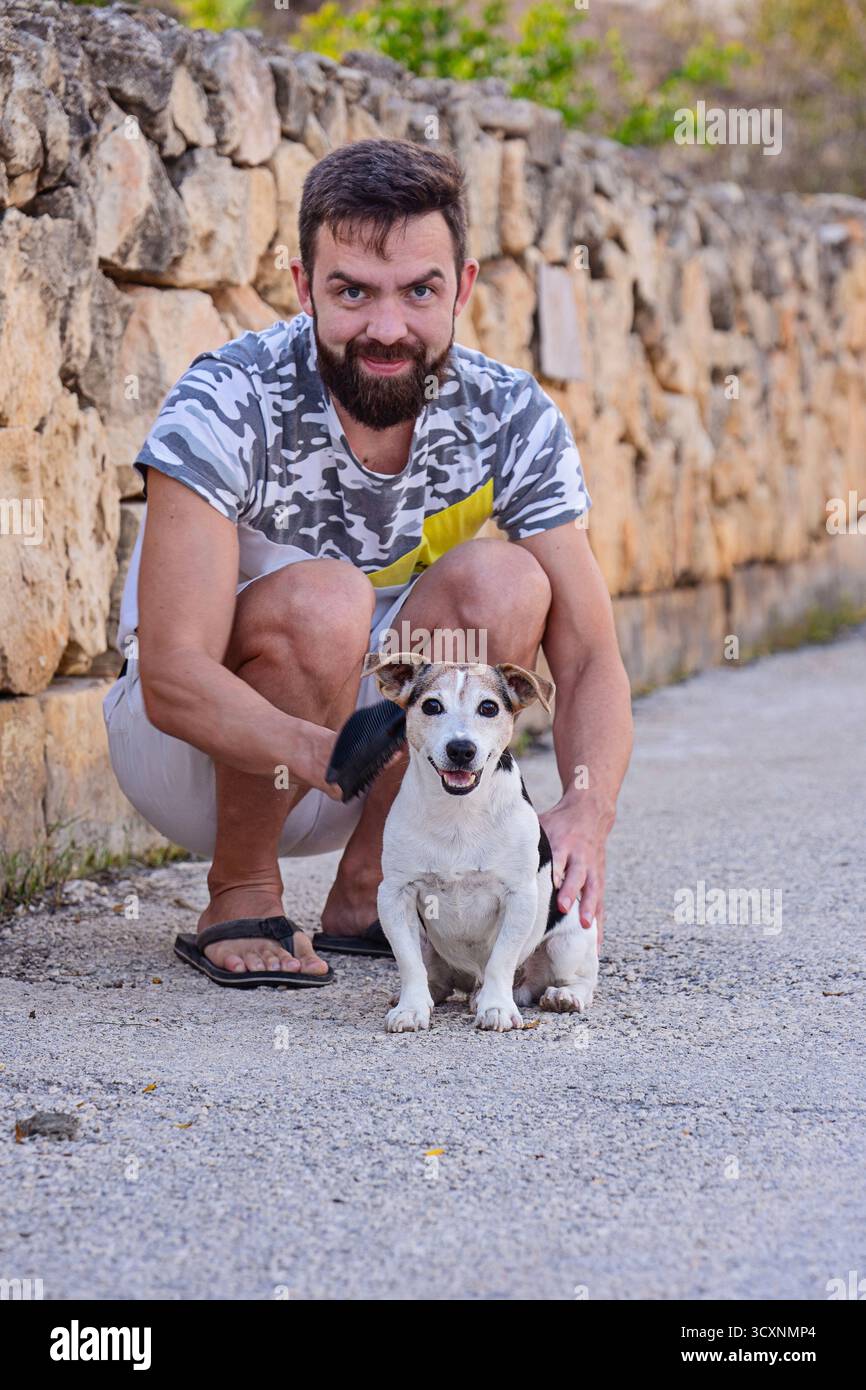 Der Besitzer hockt und putzt Jack Russell Terrier in einer ruhigen Straße an einer Steinmauer, die Garderobe pflegt und die Routine entschädigt, der Moment der Tierpflege ist ruhig Stockfoto