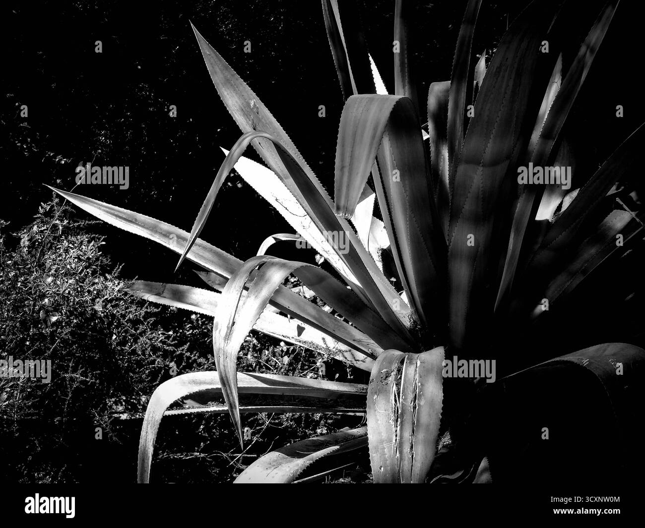 Cannes, Südfrankreich Stockfoto