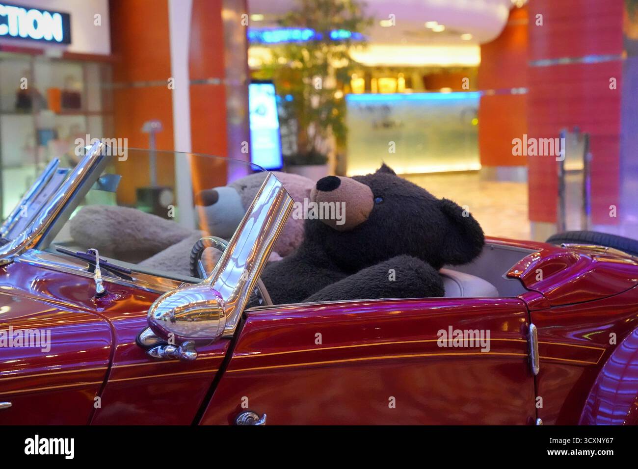 Zwei große Teddybären sitzen in einem roten Mercedes-Benz-Cabriolet, die an Bord der Royal Caribbean’s Allure of the Seas ausgestellt sind und einen skurrilen Ton verleihen Stockfoto