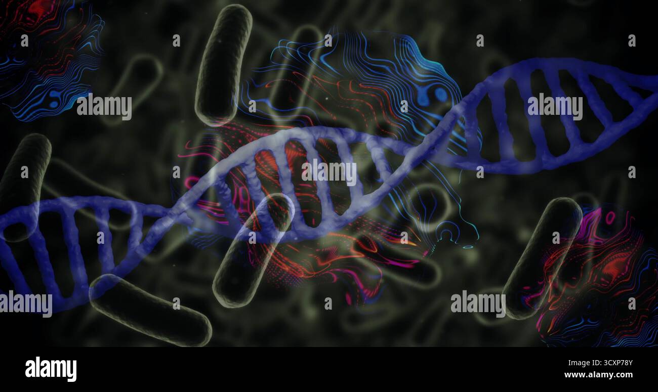 Anzeige der blauen DNA-Helix, die durch die molekulare Umgebung verläuft, mit Bakterienstäben und Datenwellen Stockfoto