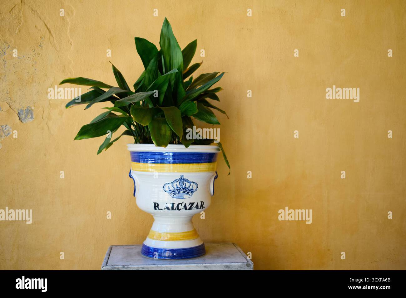 Keramik Blumentopf Vase vor einer gelben Wand in Sevilla Royal Alcazar, Sevilla, Andalusien, Spanien Stockfoto