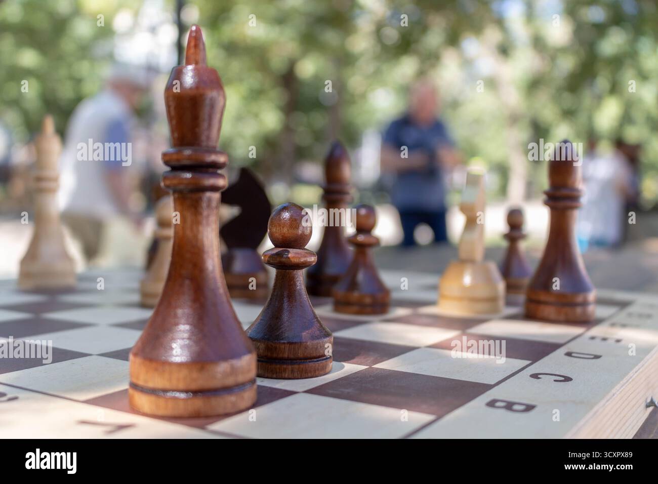 Schach im Freien an einem sonnigen Tag im Park, Strategie-Brettspiel-Konzept, Freizeitaktivität, Wettbewerb, Erholung, intellektuelle Herausforderung, kontaktfreudigkeit Stockfoto