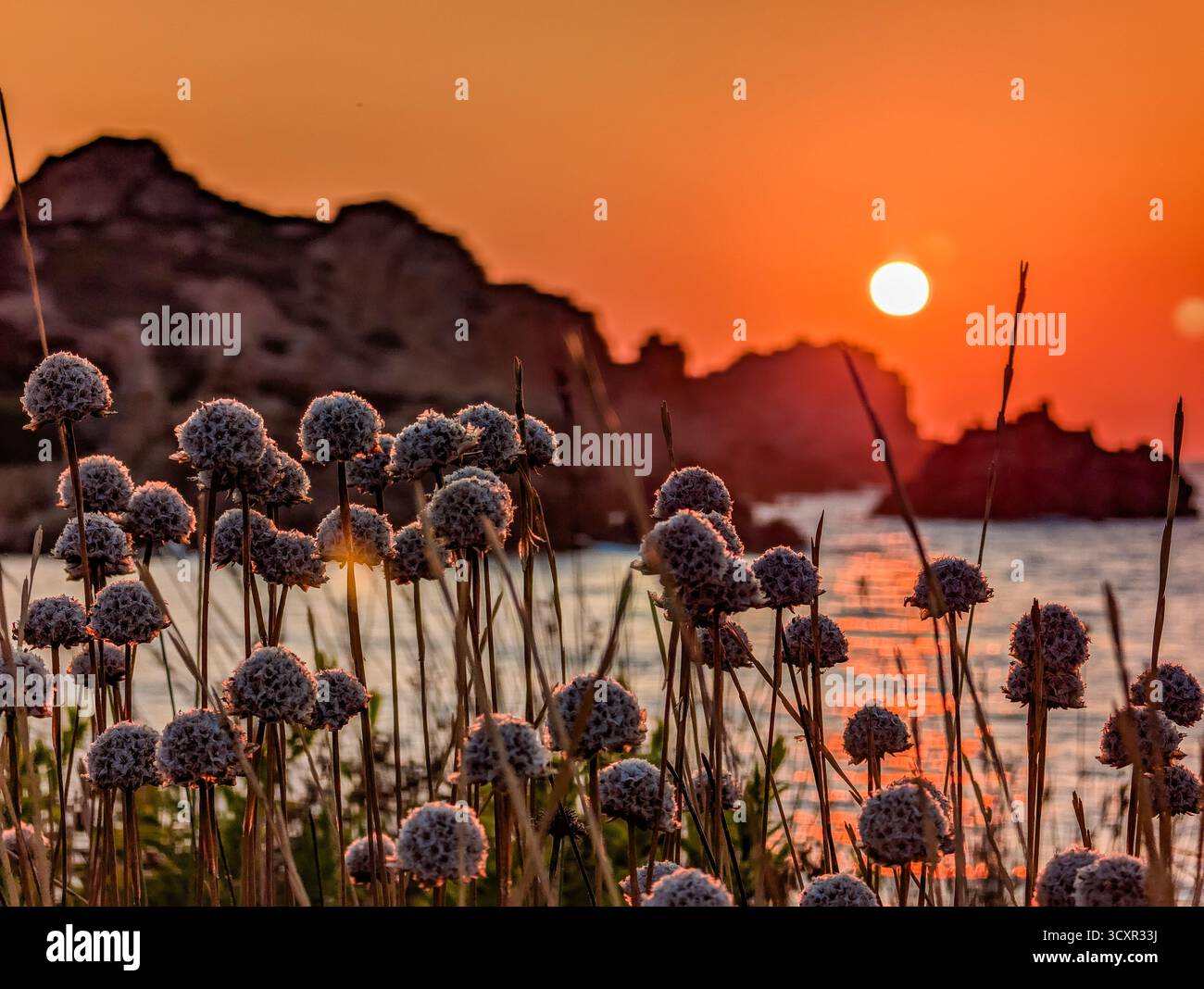 Wunderschöner lebhafter Sonnenuntergang über dem Canneddi Beach, Sassari, Sardinien, Italien Stockfoto
