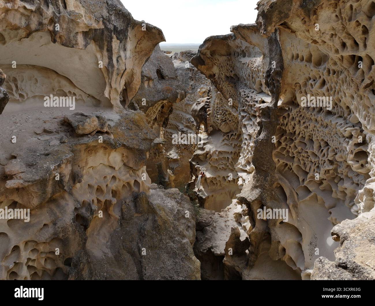 Sandsteinformationen mit komplizierten Wabenverwitterungsmustern und natürlichen geologischen Erosionsprozessen zeigen abstrakte Formen Stockfoto