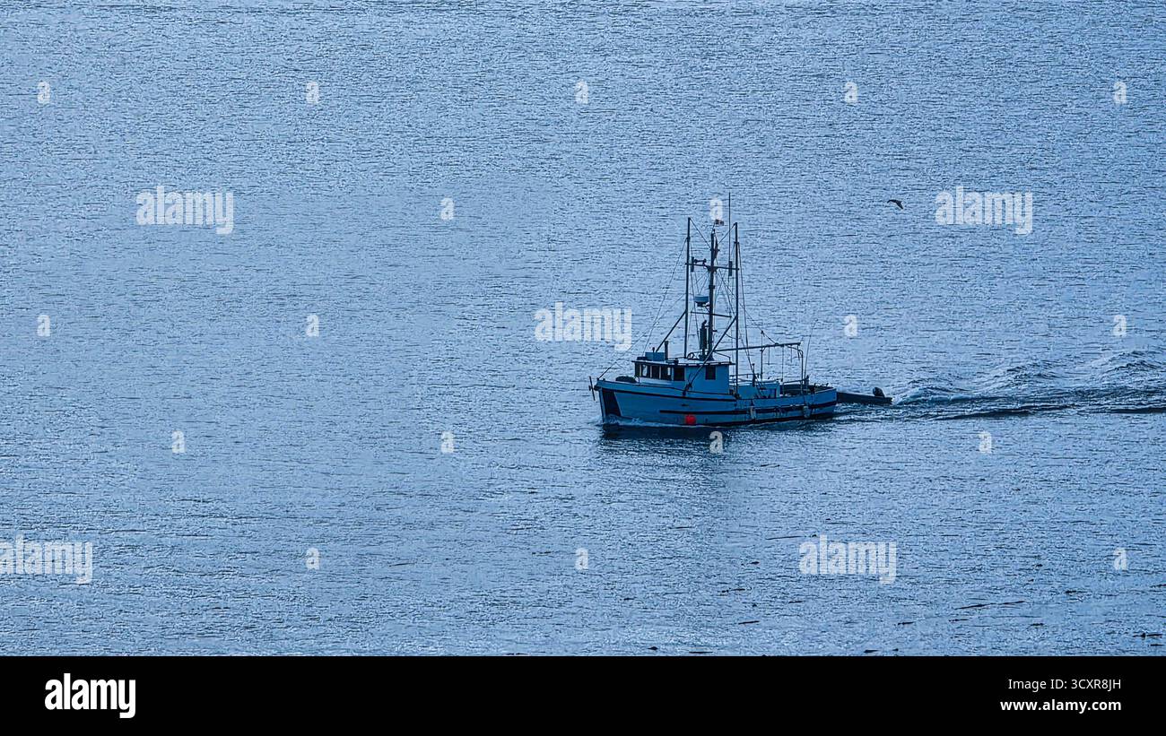 Einsame Reise auf ruhigen Gewässern - Smartphone-aufgenommenes Stockfoto
