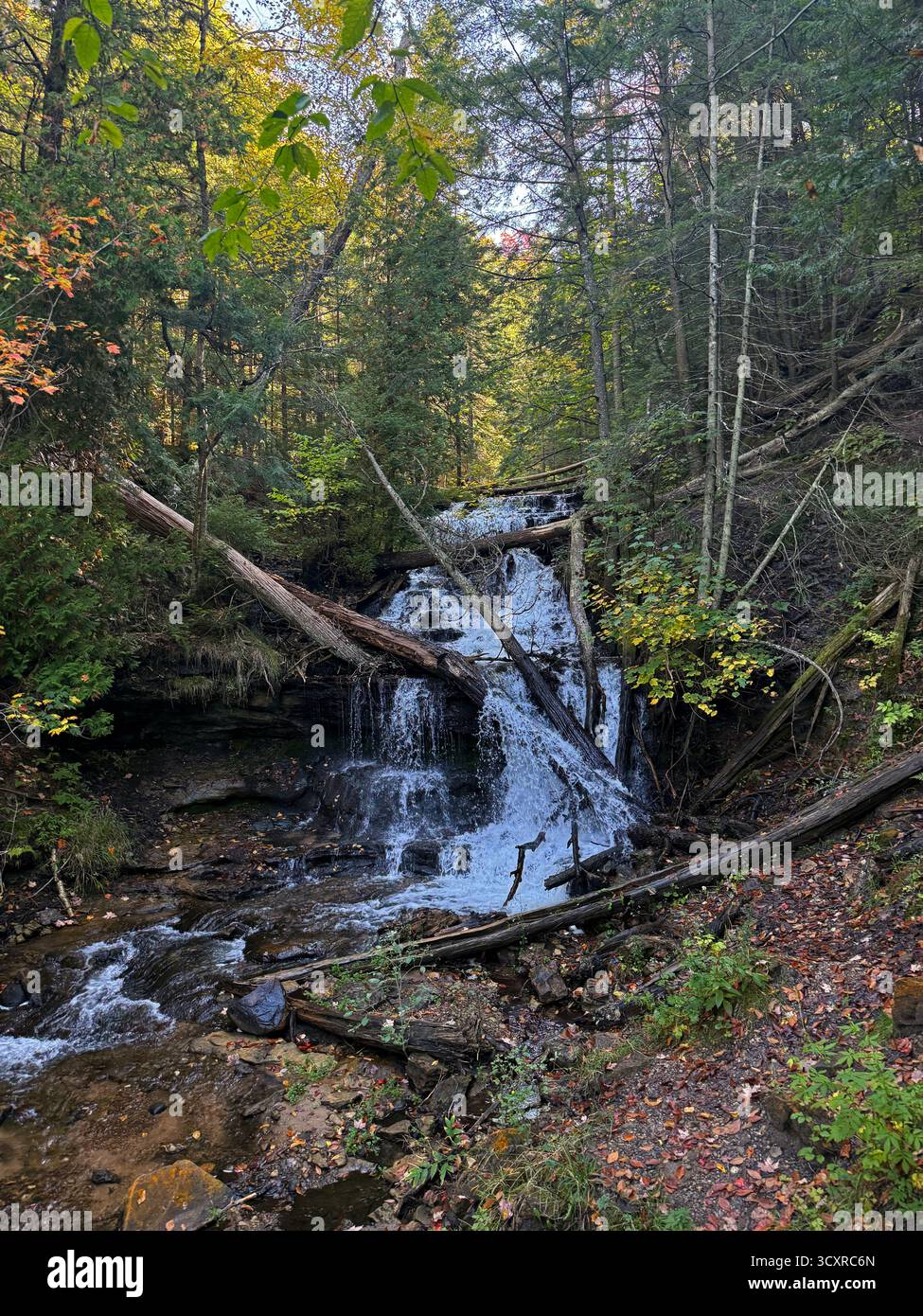 Wagner Falls, die über Felsen und umgestürzte Bäume einen Hügel hinabstürzen, im Wald in Munising, Michigan, USA - Smartphone-aufgenommenes Stockfoto