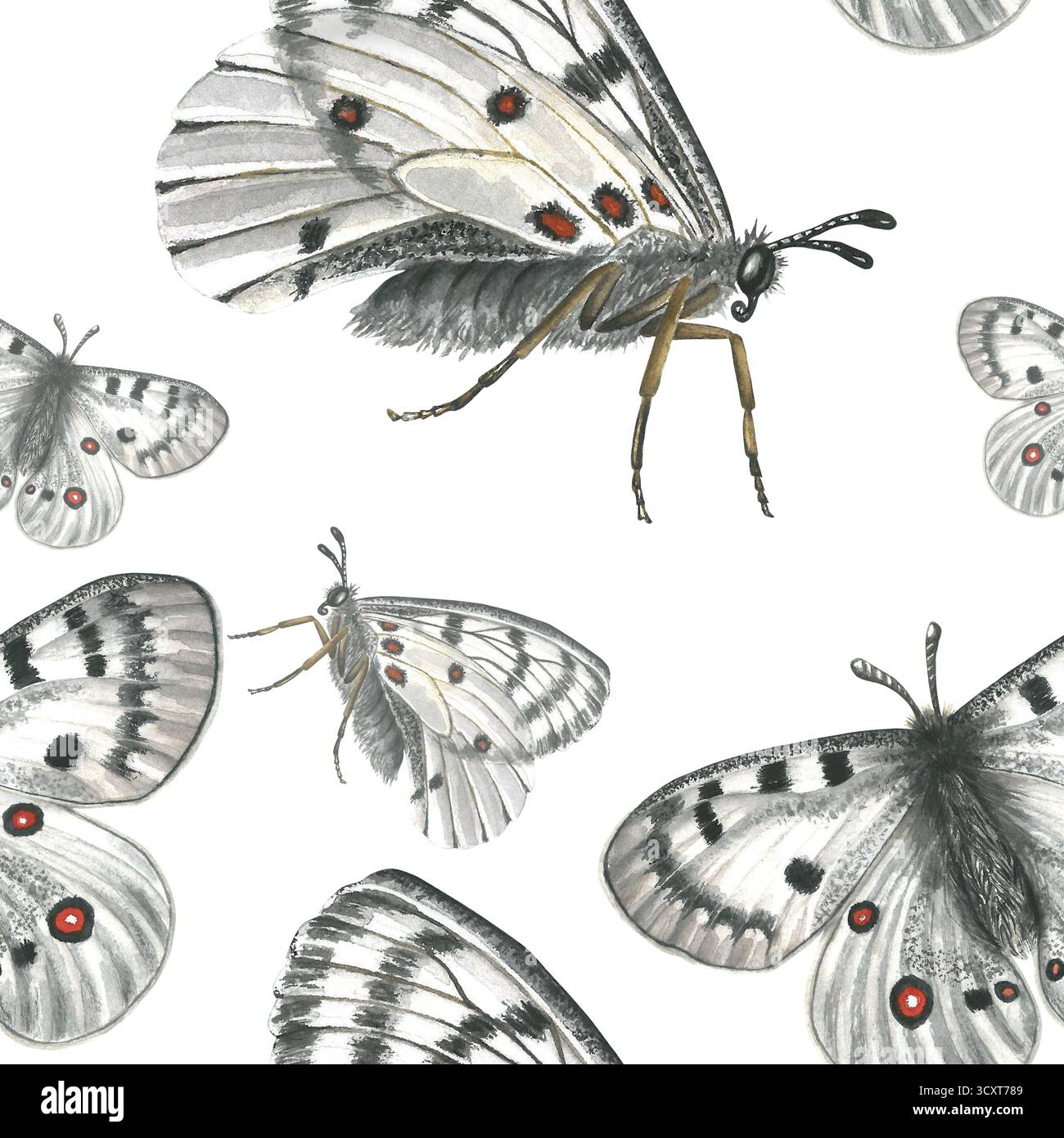 Fliegende weiße Schmetterlinge, nahtloses Muster, Aquarellillustration isoliert auf transparentem Hintergrund Stockfoto