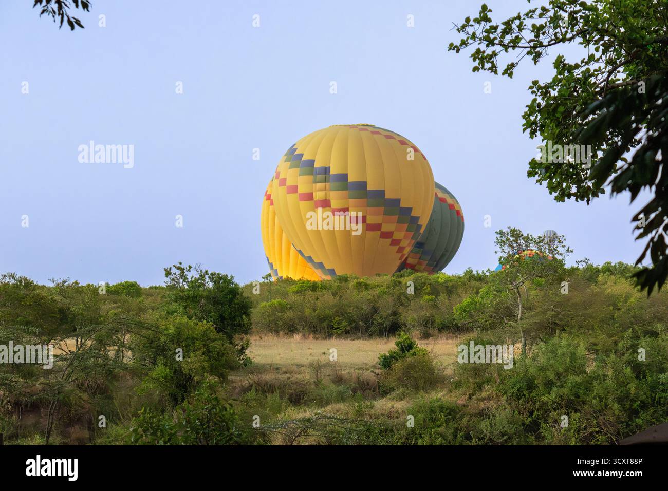 Große Heißluftballons steigen bei Sonnenaufgang über die grüne Landschaft des Maasai Mara National Reserve auf Stockfoto