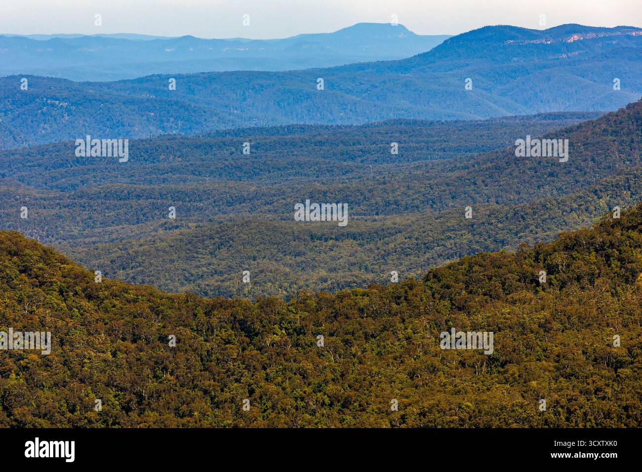 Blick vom Echo Point Katoomba, Blue Mountains National Park, New South Wales, Australien Stockfoto