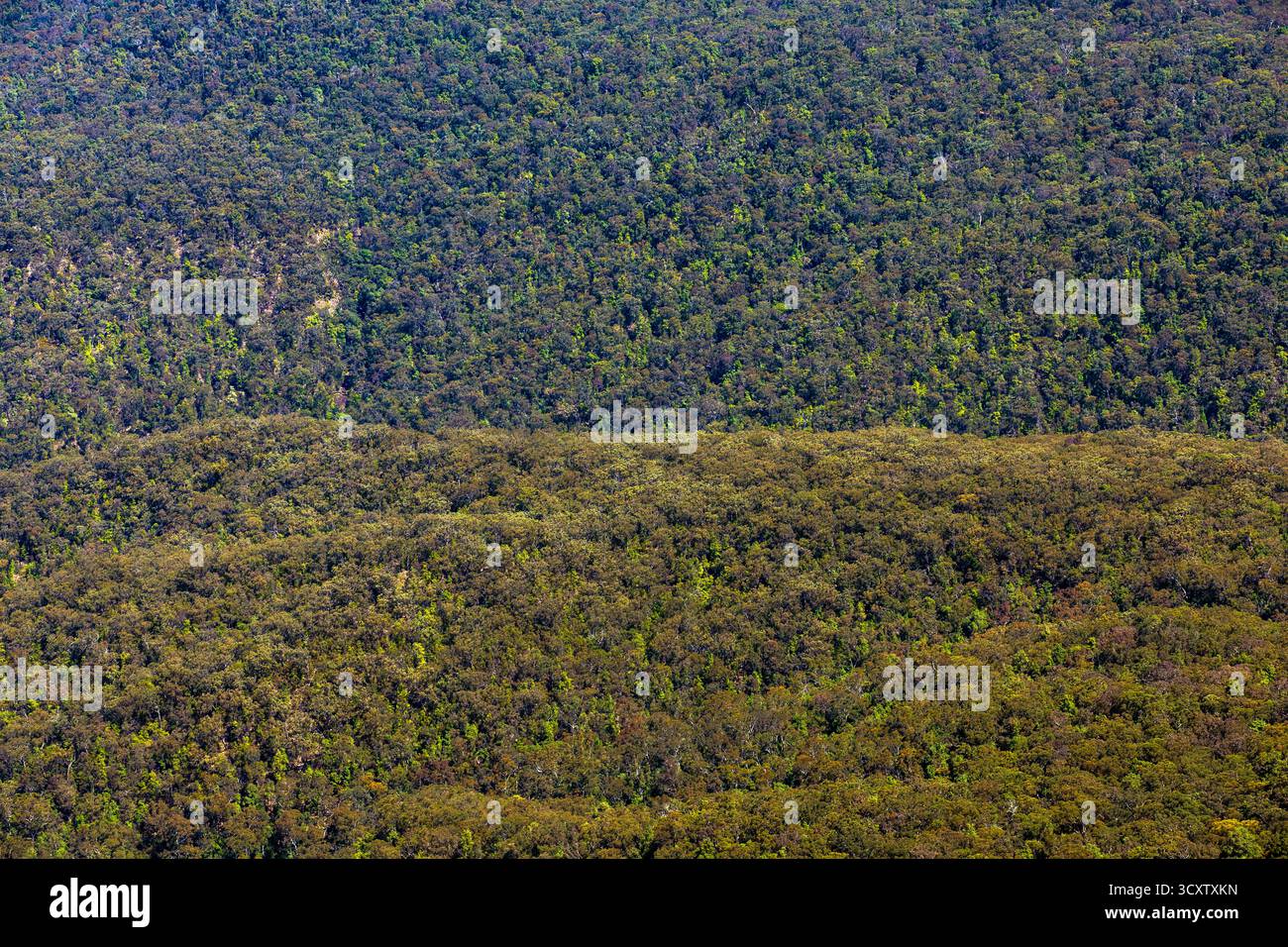Blick vom Echo Point Katoomba, Blue Mountains National Park, New South Wales, Australien Stockfoto