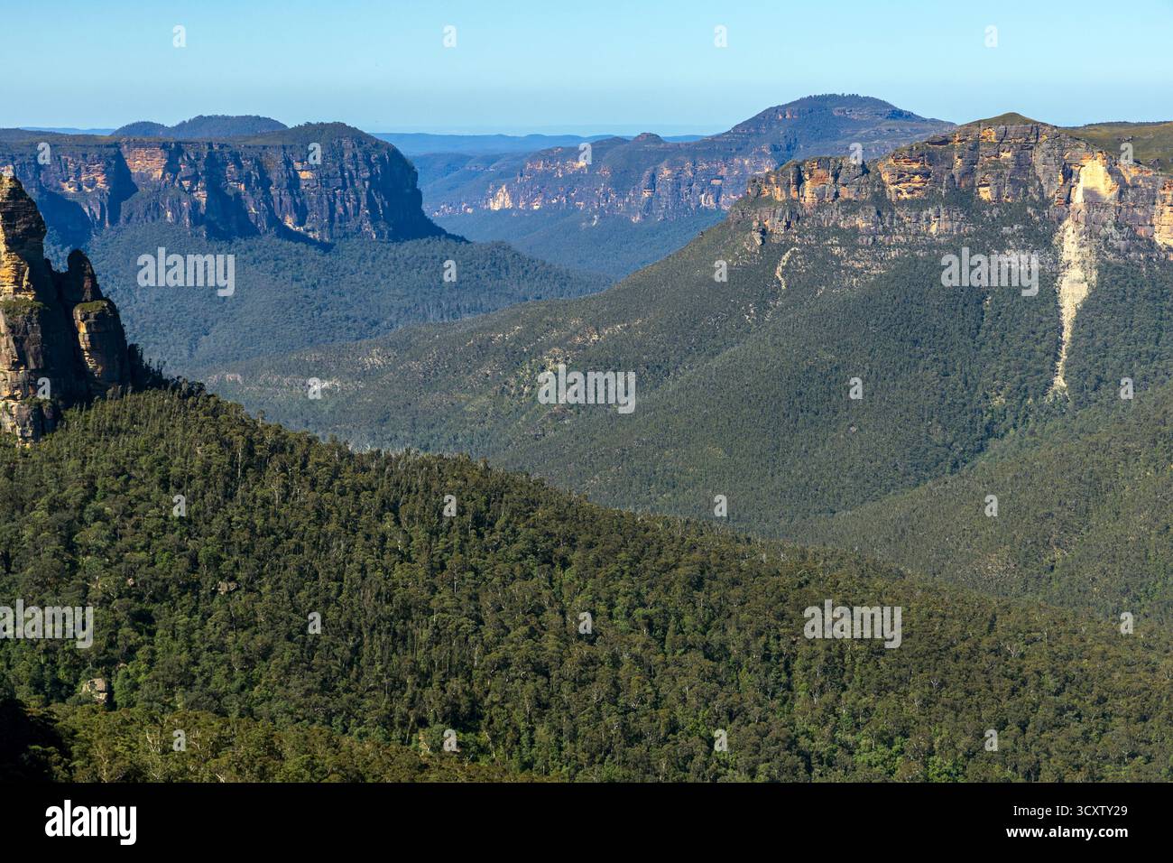 Grose Valley und Blue Gum Forest vom Govett’s Leap Lookout, Blue Mountains National Park, New South Wales, Australien Stockfoto